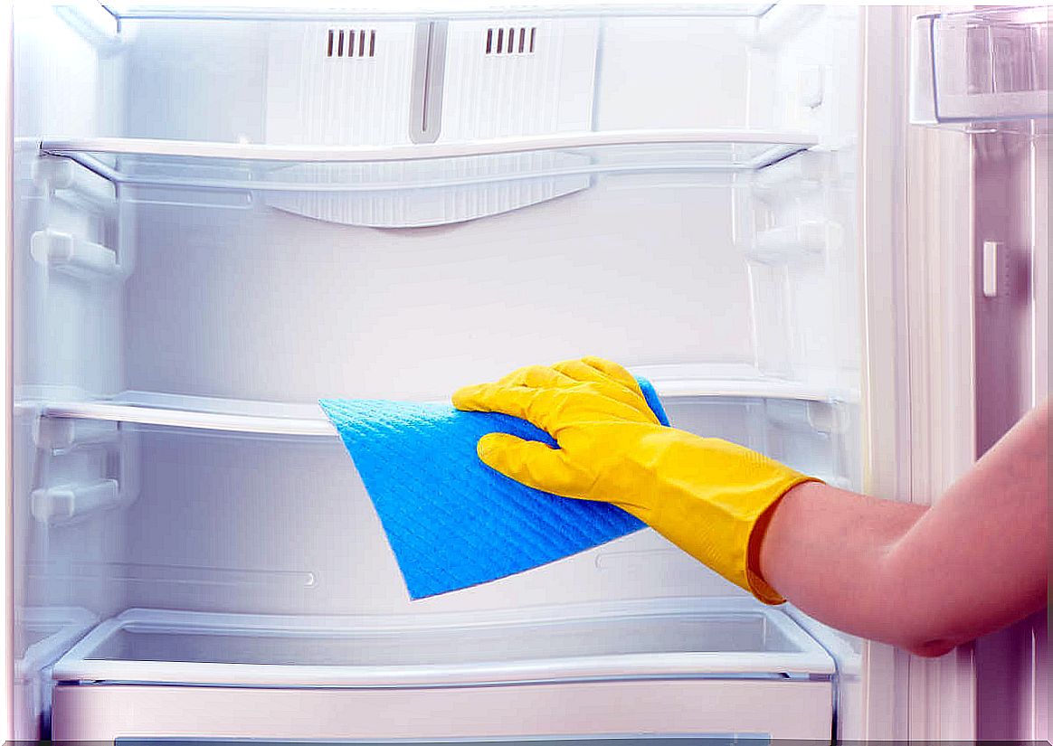 clean the fridge 