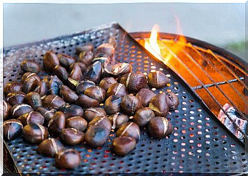 Grilled or roasted chestnuts are featured in our chestnut-based recipes