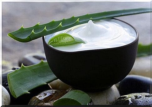 homemade creams to treat dry and damaged heels: aloe vera and shea butter