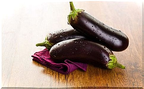 eggplant 