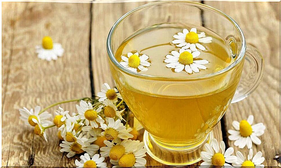 infusion of chamomile flowers to get rid of intestinal gas 