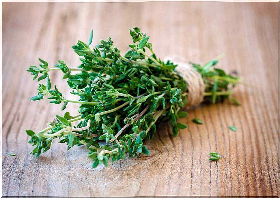 thyme to get rid of intestinal gas