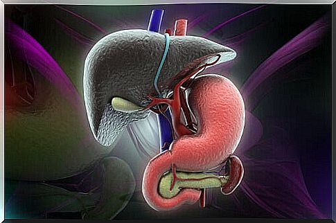 what is fatty liver disease?