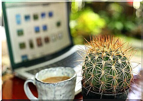 A cactus and a cup of coffee 