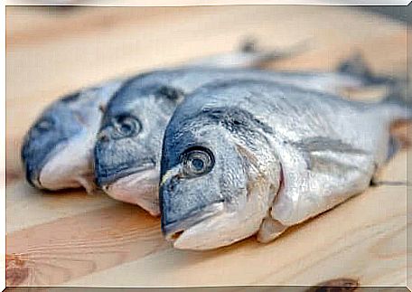 Fresh sea bream.