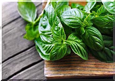 you can cleanse your kidneys with a remedy made from basil and sage