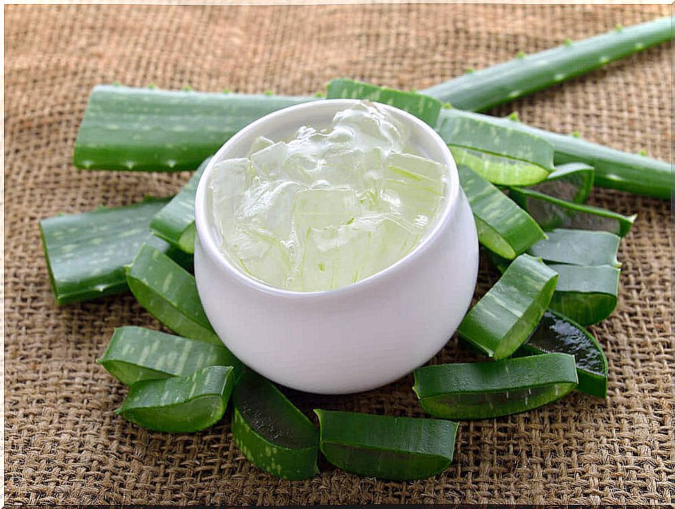 aloe vera to treat hemorrhoids