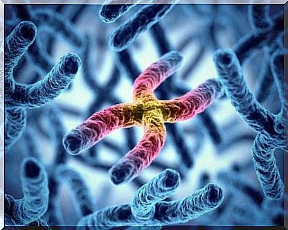 X chromosomes and color blindness