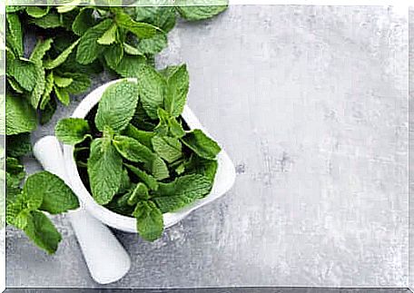 Mint leaves for migraine in children.