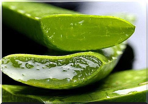 Cut aloe vera leaf and gel that appears