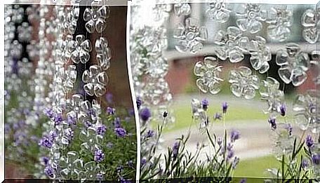 A curtain of flowers.