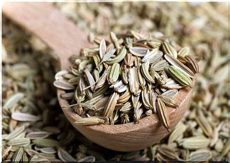 fennel seeds to cleanse the colon naturally