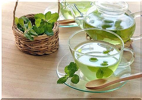 mint infusion