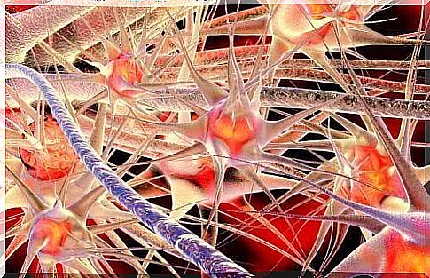 Pregabalin acts on the functioning of neuro-receptors.