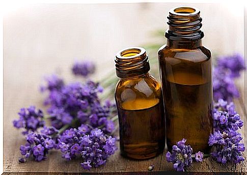 soothe mosquito bites with lavender essential oil