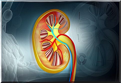 hydration helps take care of kidney health